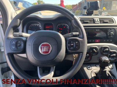 Fiat Panda 1.0 firefly hybrid s&s 70cv 5p.ti (12)