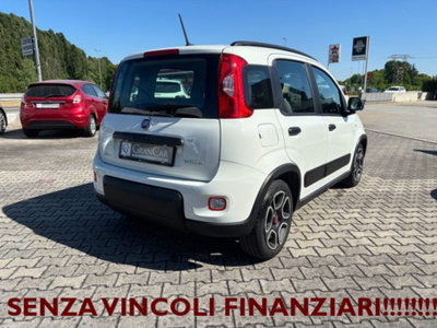 Fiat Panda 1.0 firefly hybrid s&s 70cv 5p.ti (4)