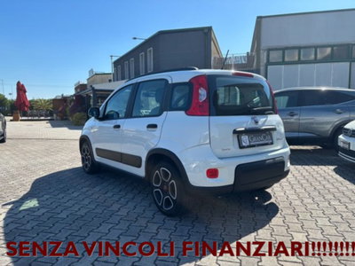 Fiat Panda 1.0 firefly hybrid s&s 70cv 5p.ti (6)
