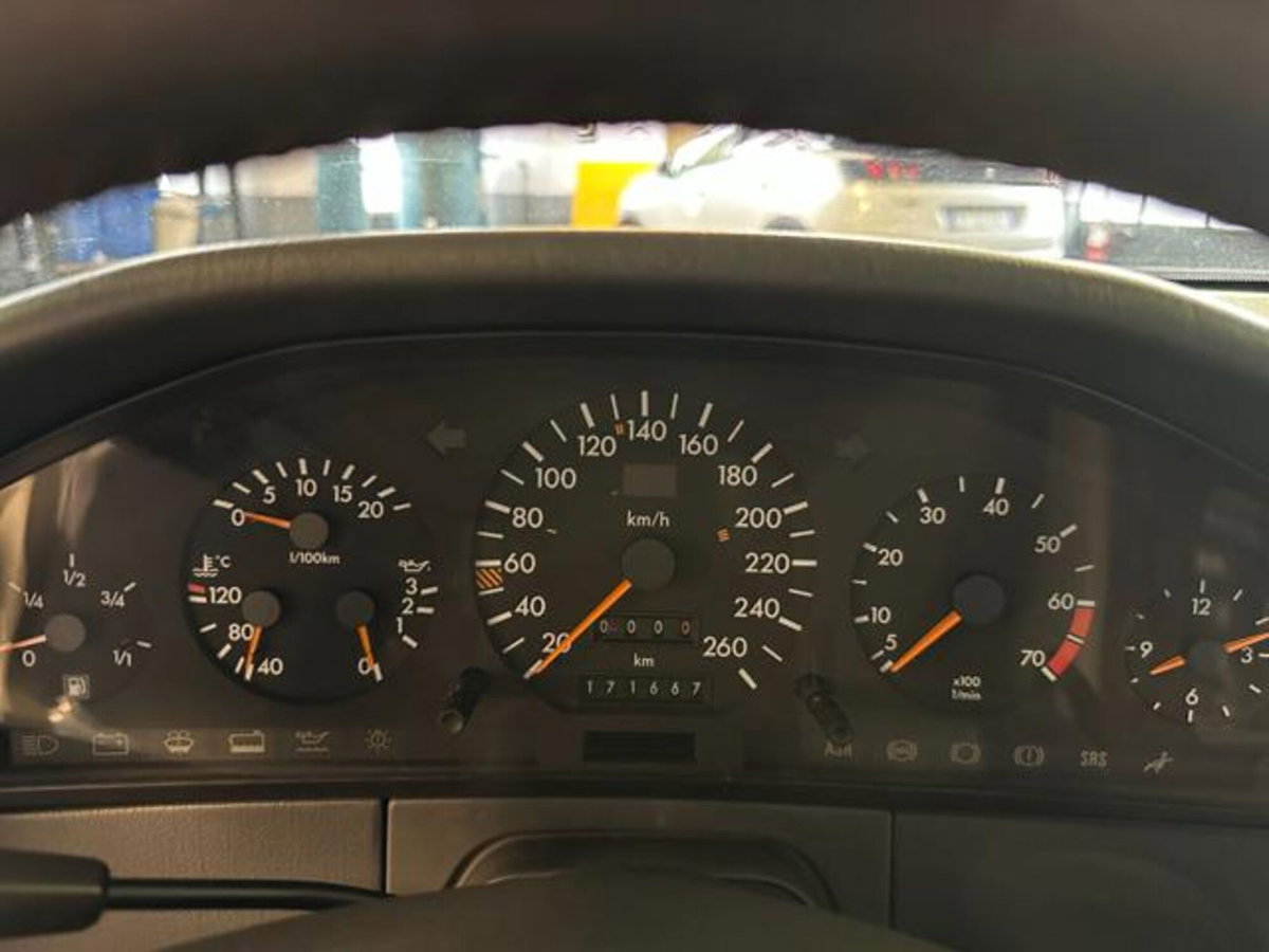 Mercedes-Benz 500 500 SE cat (11)