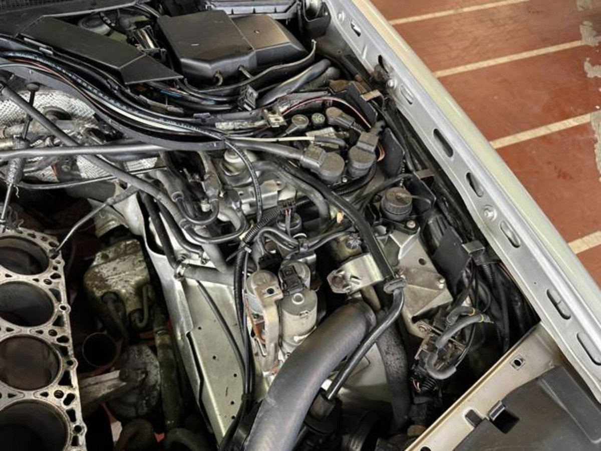 Mercedes-Benz 500 500 SE cat (18)