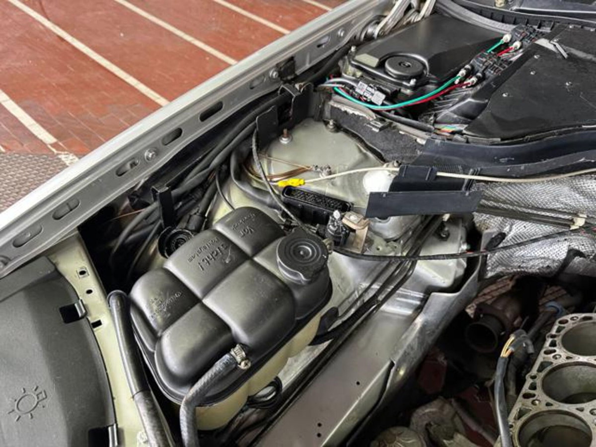 Mercedes-Benz 500 500 SE cat (19)