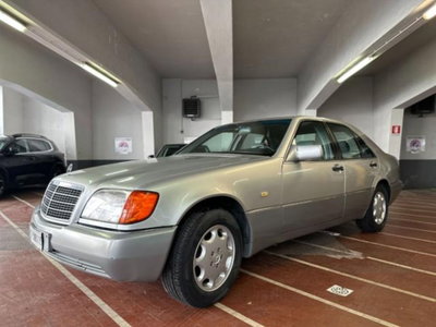 Mercedes-Benz 500 500 SE cat (2)