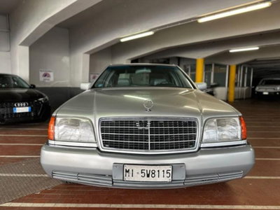 Mercedes-Benz 500 500 SE cat (5)