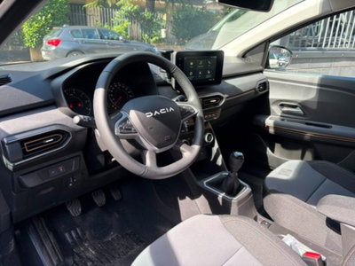 Dacia Sandero Stepway 1.0 tce Extreme Eco-g 100cv (7)