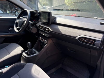 Dacia Sandero Stepway 1.0 tce Extreme Eco-g 100cv (9)