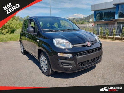 Fiat Pandina 1.0 firefly hybrid Icon s&s 65cv nuova