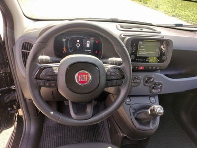 Fiat Pandina 1.0 firefly hybrid Icon s&s 65cv (12)