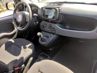Fiat Pandina 1.0 firefly hybrid Icon s&s 65cv (16)