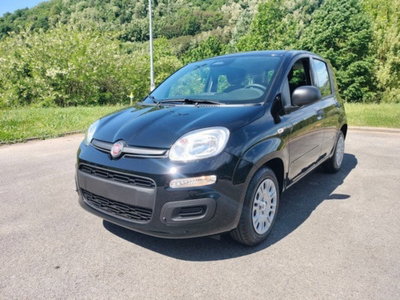 Fiat Pandina 1.0 firefly hybrid Icon s&s 65cv (3)