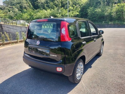 Fiat Pandina 1.0 firefly hybrid Icon s&s 65cv (6)