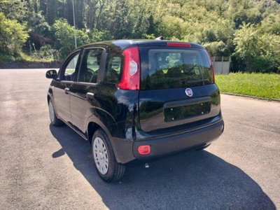 Fiat Pandina 1.0 firefly hybrid Icon s&s 65cv (8)
