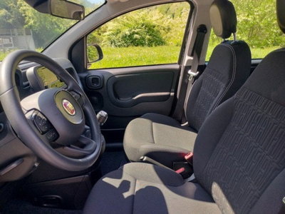 Fiat Pandina 1.0 firefly hybrid Icon s&s 65cv (10)