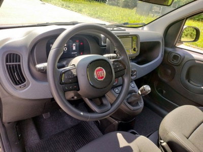 Fiat Pandina 1.0 firefly hybrid Icon s&s 65cv (11)