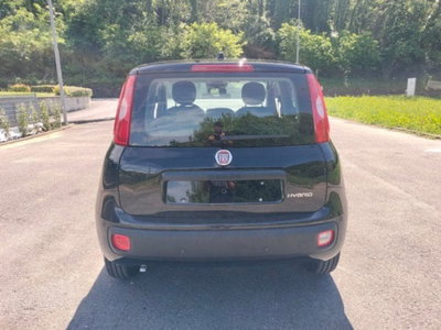 Fiat Pandina 1.0 firefly hybrid Icon s&s 65cv (7)