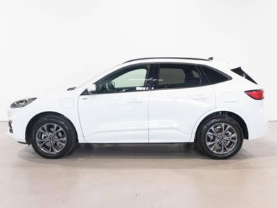 Ford Kuga 2.5 200 CV 4WD 5tronic Titanium (4)