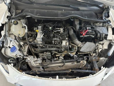 Ford Fiesta Active X 1.0 Ecoboost Hybrid 125 CV 5 porte (9)