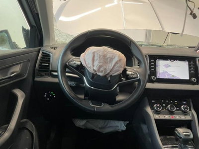 Skoda Karoq 2.0 TDI EVO SCR 115 CV DSG Executive (15)