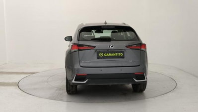 Lexus NX 2.5 Business 2wd 197cv e-cvt (4)