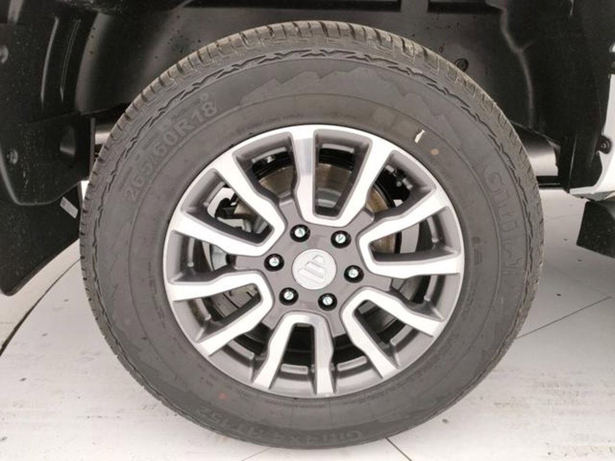 Foton Tunland Pick-up Tunland G7 2.0 tdi double cab auto (20)