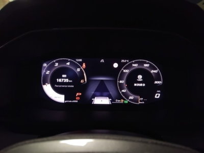 Cupra Leon Leon 2.0 tdi 150cv dsg (13)