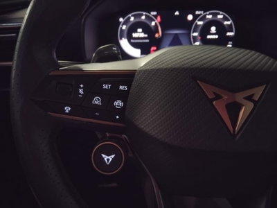 Cupra Leon Leon 2.0 tdi 150cv dsg (18)