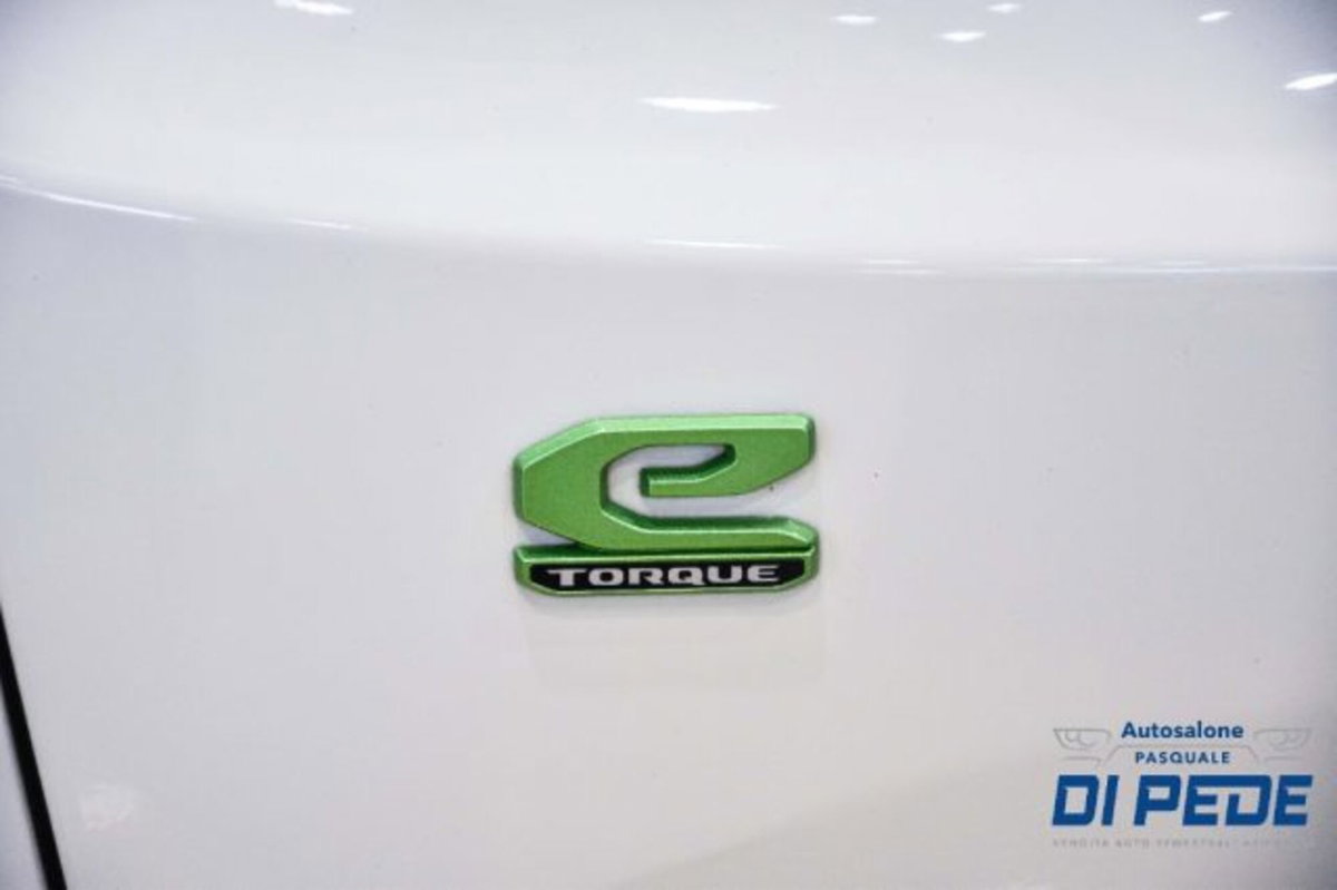 Jeep Renegade 1.5 Turbo T4 MHEV Limited (14)