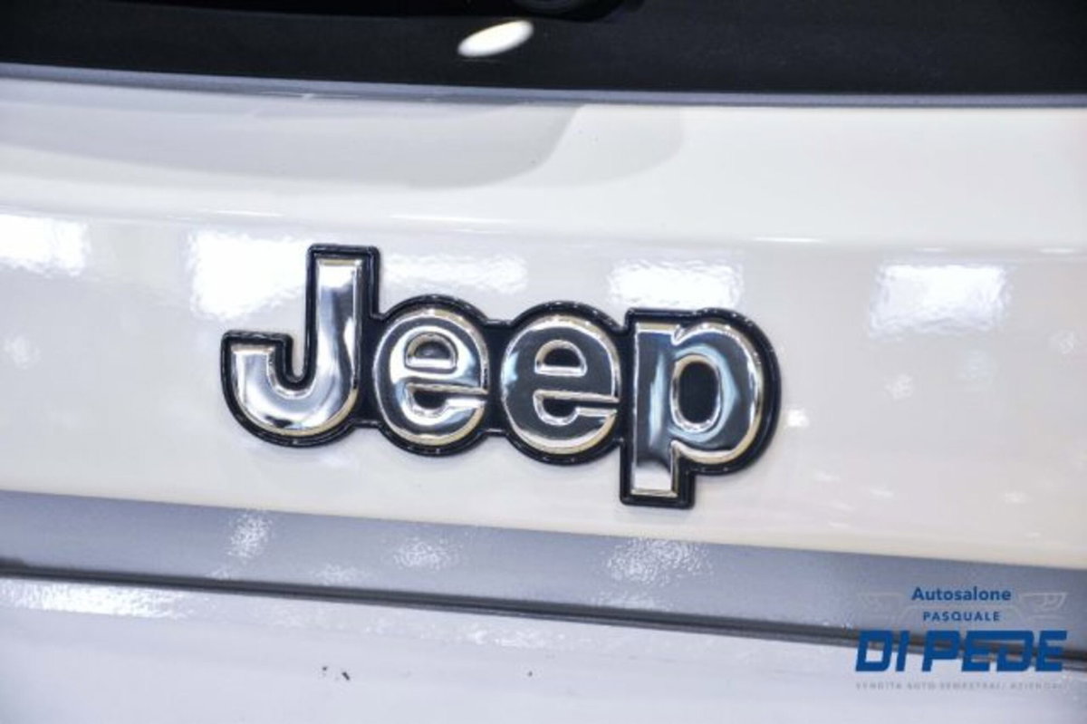 Jeep Renegade 1.5 Turbo T4 MHEV Limited (15)