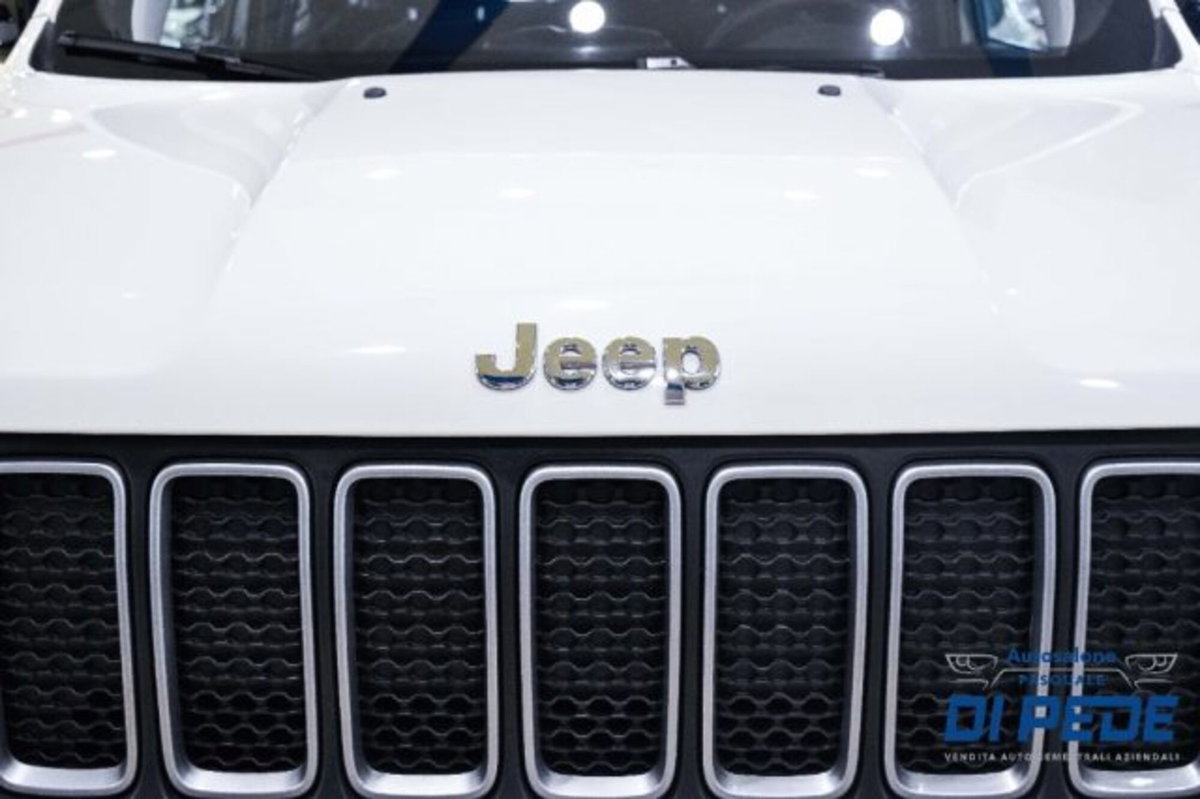 Jeep Renegade 1.5 Turbo T4 MHEV Limited (8)
