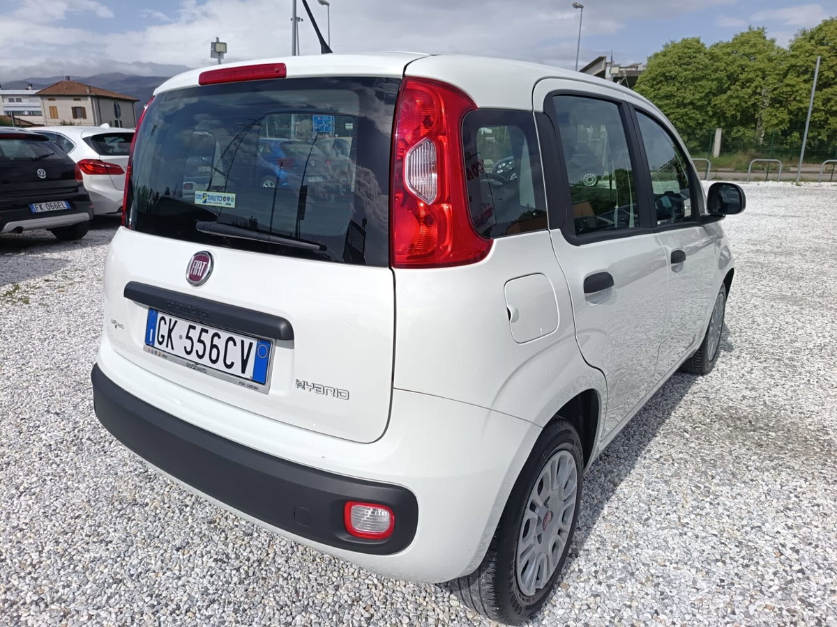 Fiat Panda Cross Cross 1.0 FireFly S&S Hybrid (4)