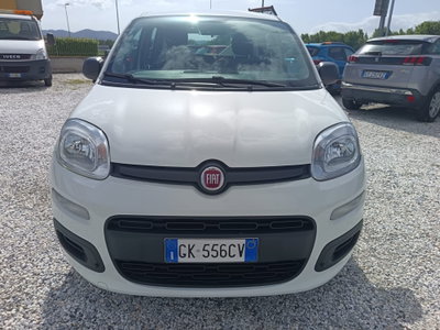 Fiat Panda Cross Cross 1.0 FireFly S&S Hybrid (5)