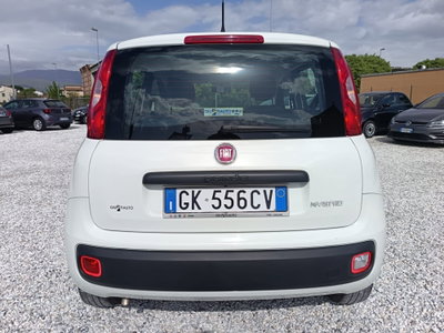 Fiat Panda Cross Cross 1.0 FireFly S&S Hybrid (6)