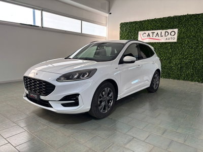 Ford Kuga 1.5 EcoBlue 120 CV 2WD ST-Line usata