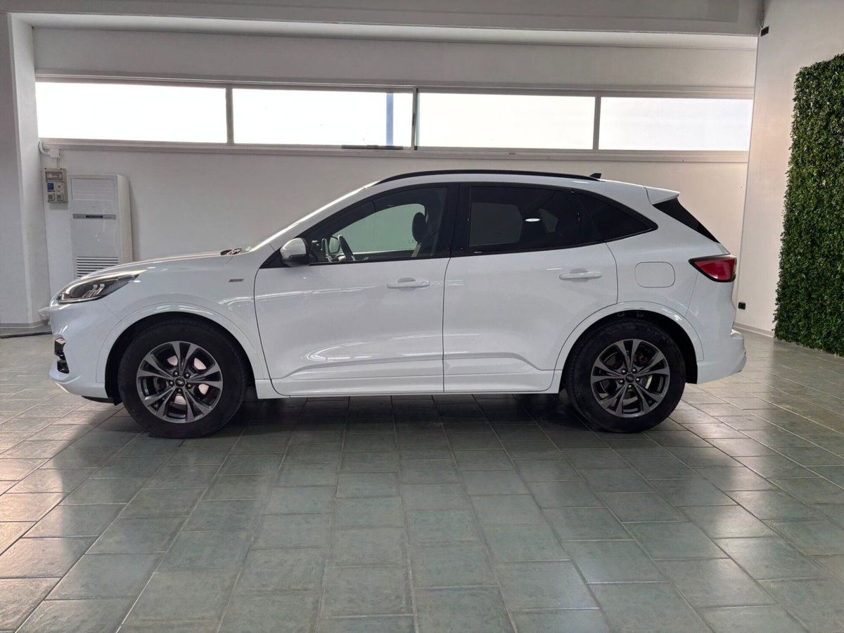 Ford Kuga 1.5 EcoBlue 120 CV 2WD ST-Line (2)