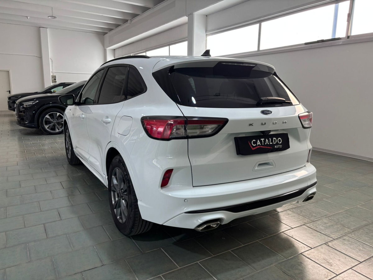 Ford Kuga 1.5 EcoBlue 120 CV 2WD ST-Line (3)