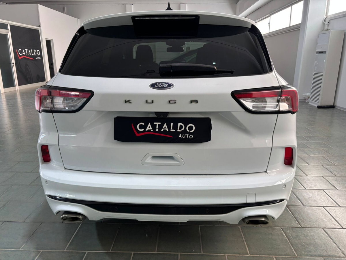Ford Kuga 1.5 EcoBlue 120 CV 2WD ST-Line (4)