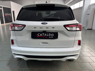 Ford Kuga 1.5 EcoBlue 120 CV 2WD ST-Line (4)