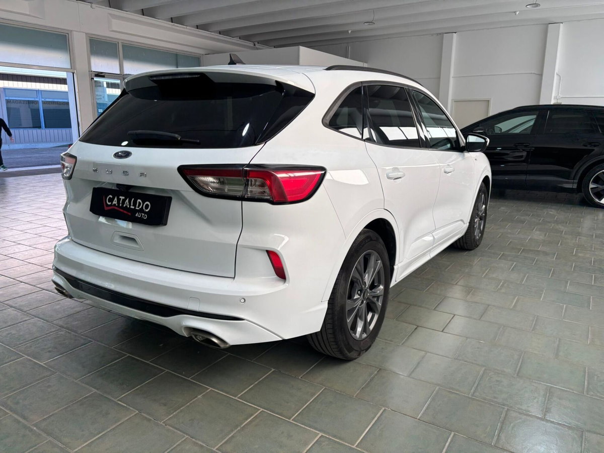 Ford Kuga 1.5 EcoBlue 120 CV 2WD ST-Line (5)