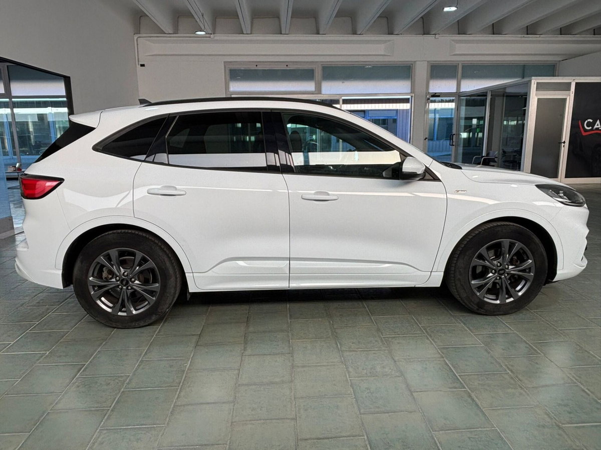 Ford Kuga 1.5 EcoBlue 120 CV 2WD ST-Line (6)