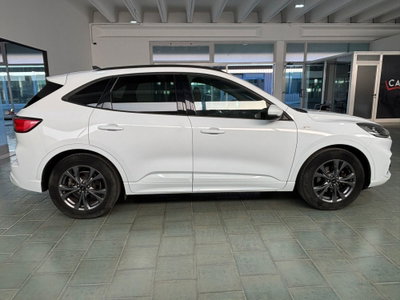 Ford Kuga 1.5 EcoBlue 120 CV 2WD ST-Line (6)