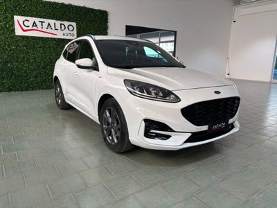 Ford Kuga 1.5 EcoBlue 120 CV 2WD ST-Line (7)