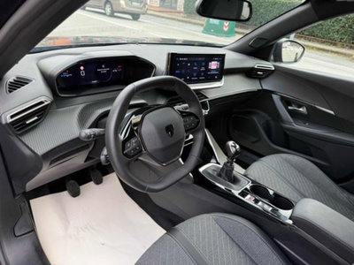 Peugeot 2008 PureTech 100 S&S Allure (8)