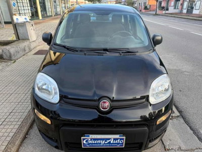Fiat Panda 1.0 firefly hybrid s&s 70cv 5p.ti (3)