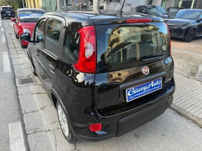 Fiat Panda 1.0 firefly hybrid s&s 70cv 5p.ti (5)