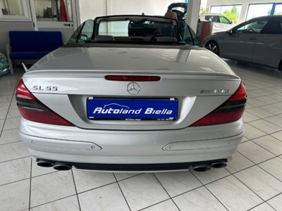 Mercedes-Benz SL 55 Kompressor cat AMG (7)