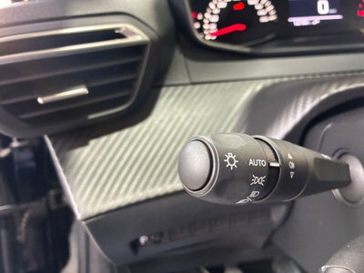 Peugeot 208 PureTech 100 Stop&Start 5 porte Active (14)