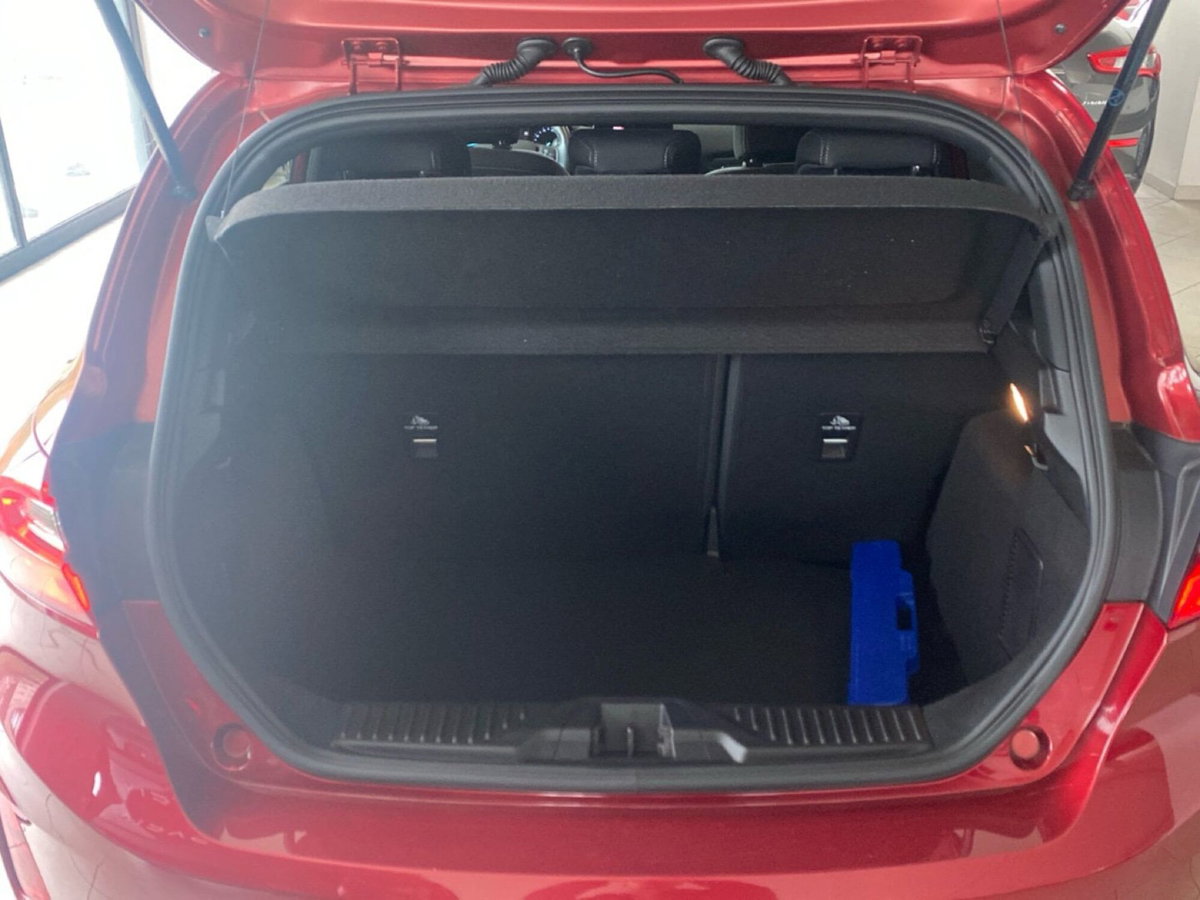 Ford Fiesta 1.0 Ecoboost 95 CV 3 porte ST-Line (14)