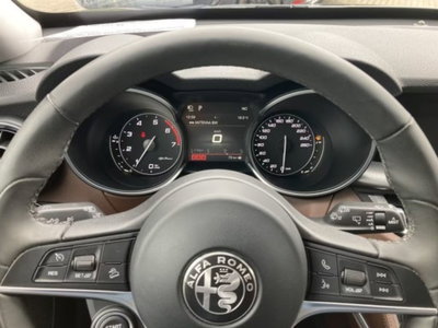 Alfa Romeo Stelvio Stelvio 2.0 Turbo 200 CV AT8 Q4 Sprint (7)