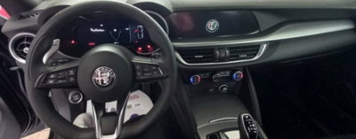 Alfa Romeo Stelvio Stelvio 2.2 Turbodiesel 160 CV AT8 RWD Sprint (8)