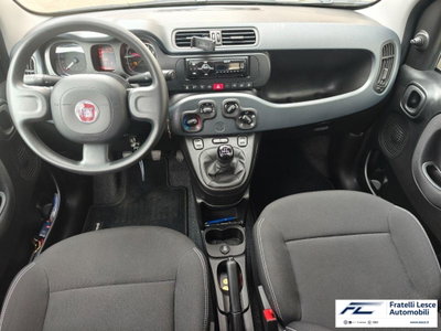 Fiat Panda 1.0 firefly hybrid s&s 70cv 5p.ti (7)